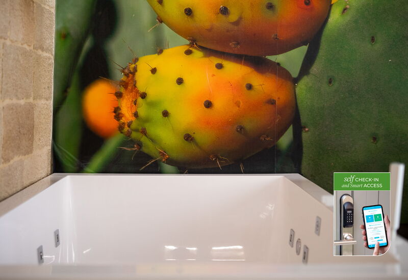 Corte Dei Granai Raro Rooms Collection - Drusilla - Deluxe Room with Bath Tub - Borgo Bianco